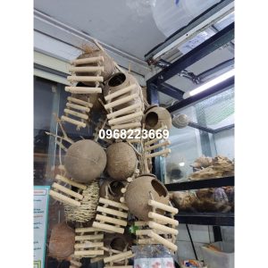 Gáo dừa thang handmade thiết kế dành cho ốc mượn hồn, sóc bay, chuột hamters, pet cưng