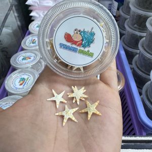 Sao biển khô thức ăn bổ sung canxi cho ốc mượn hồn