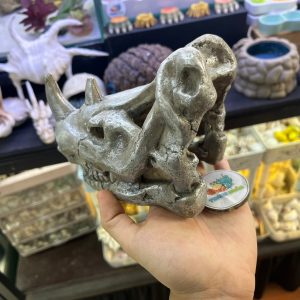 Mô hình sọ tê giác một sừng màu xám bạc làm hang trú và trang trí cho chuồng nuôi ốc mượn hồn, bò sát nhỏ