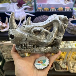 Mô hình sọ tê giác một sừng màu xám bạc làm hang trú và trang trí cho chuồng nuôi ốc mượn hồn, bò sát nhỏ