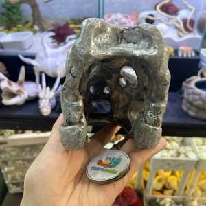 Mô hình sọ tê giác một sừng màu xám bạc làm hang trú và trang trí cho chuồng nuôi ốc mượn hồn, bò sát nhỏ