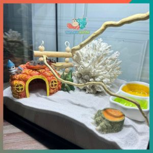 Combo nuôi ốc mượn hồn đầy đủ phụ kiện ( không kèm đèn ) B880-1