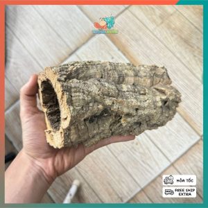 Lũa ống gỗ sồi mã L138