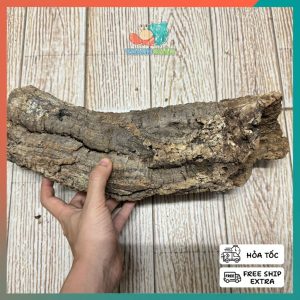 Lũa ống gỗ sồi mã L436