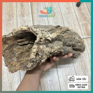 Lũa ống gỗ sồi mã L436