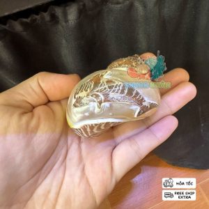 Vỏ ốc cỡ L+ XL khắc hình cá heo và cây dừa trang trí bể cá , làm nhà cho ốc mượn hồn