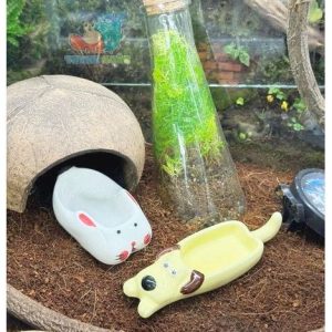 Bát ăn, chén nước cho ốc mượn hồn baby chất liệu sứ chống lật