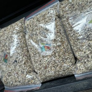 1kg cát san hô trải nền cho hồ ốc mượn hồn và hồ cá