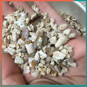 1kg cát san hô trải nền cho hồ ốc mượn hồn và hồ cá