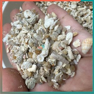 1kg cát san hô trải nền cho hồ ốc mượn hồn và hồ cá