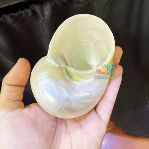Vỏ ốc xà cừ mài trắng cỡ 3xl