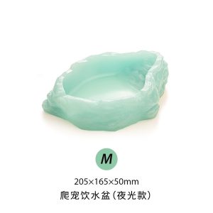 Bát ăn chén nước chén ăn cho bò sát ốc mượn hồn