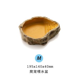 Bát ăn chén nước chén ăn cho bò sát ốc mượn hồn