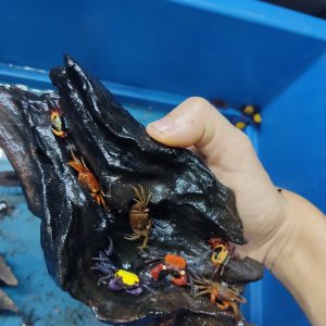 Cua vampire - black eye