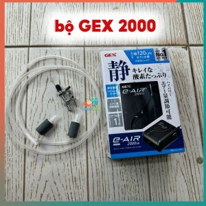 bộ gex 2000