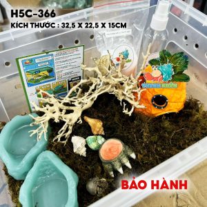 combo nuôi ốc mượn hồn size baby mã -HR5-330