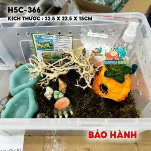 combo nuôi ốc mượn hồn size baby mã -HR5-330