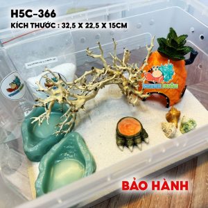 Combo nuôi ốc mượn hồn baby mã HC5-366
