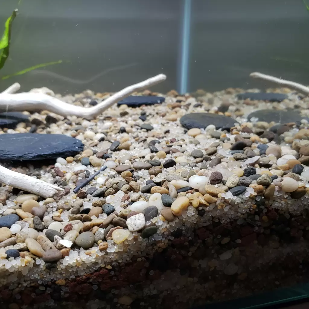 Lựa chọn vật liệu lót nền phù hợp giúp cua dễ dàng đào hang và sinh trưởng