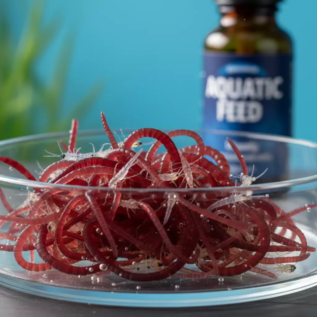 Các loại thức ăn tươi sống giàu đạm giúp cua phát triển khỏe mạnh