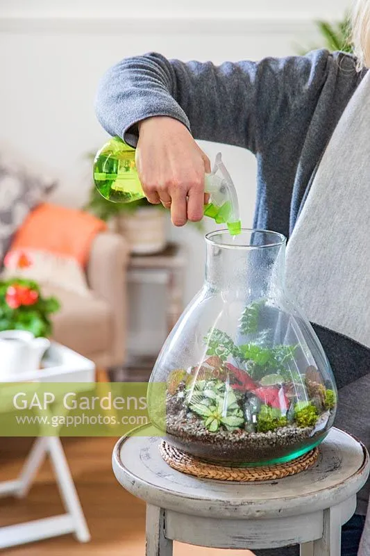 Sử dụng bình phun sương để duy trì độ ẩm lý tưởng cho cây