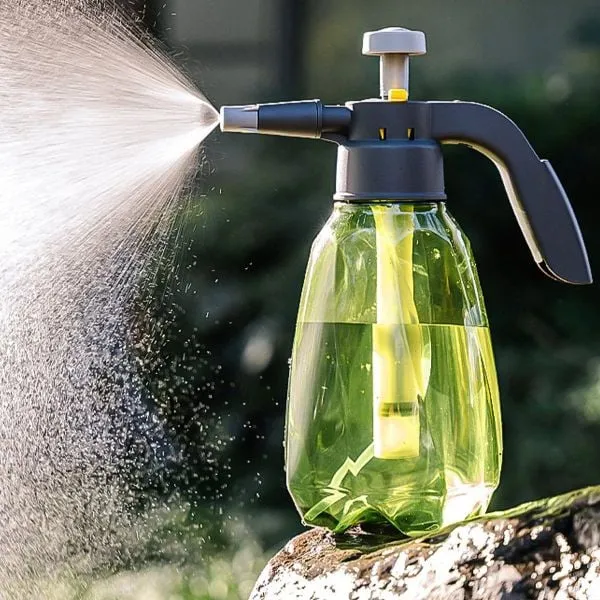 Kỹ thuật phun sương đúng cách giúp duy trì độ ẩm lý tưởng cho hệ sinh thái