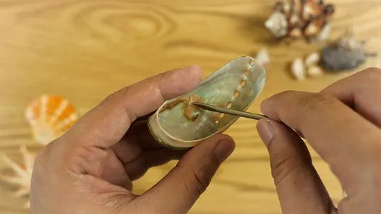 550px-nowatermark-clean-and-polish-seashells-step-10-version-4 Vệ sinh vỏ ốc định kỳ giúp duy trì độ sáng bóng và vẻ đẹp nguyên bản