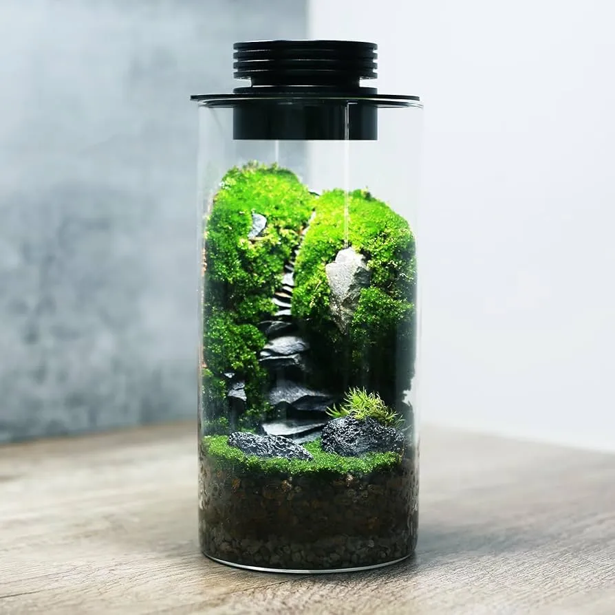 Hệ sinh thái Terrarium khép kín rực rỡ dưới ánh sáng đèn LED chuyên dụng