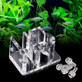 Lắp đặt hệ thống lọc và đèn chuyên nghiệp cho bể thủy sinh Acrylic