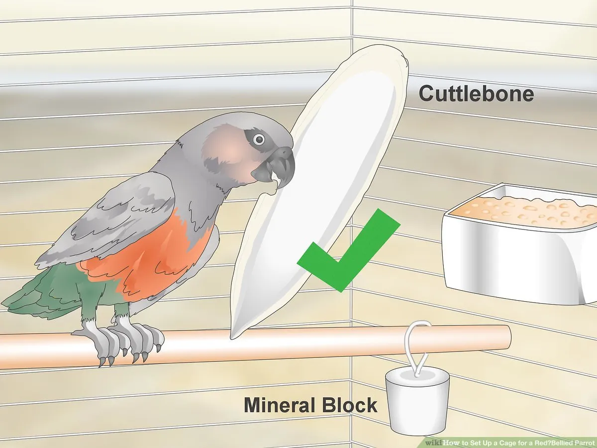 Vị trí đặt Block Canxi cần khô ráo và thuận tiện cho vật nuôi