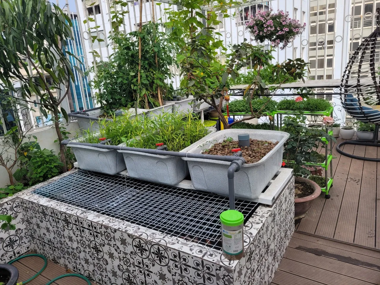 Hệ thống rau cá nhà làm mang lại nguồn thực phẩm tươi sạch ngay tại không gian sống đô thị