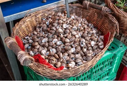 Lựa chọn ốc tươi sống là bước khởi đầu quan trọng cho hành trình bảo quản dài ngày