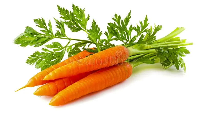 Cà rốt là nguồn cung cấp tiền Vitamin A tự nhiên và an toàn nhất cho cơ thể