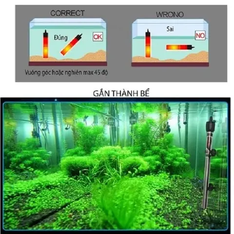 cach-cam-suoi-be-ca-0db9d5 Lắp đặt máy sưởi ở nơi có dòng chảy tốt để nhiệt độ lan tỏa đều