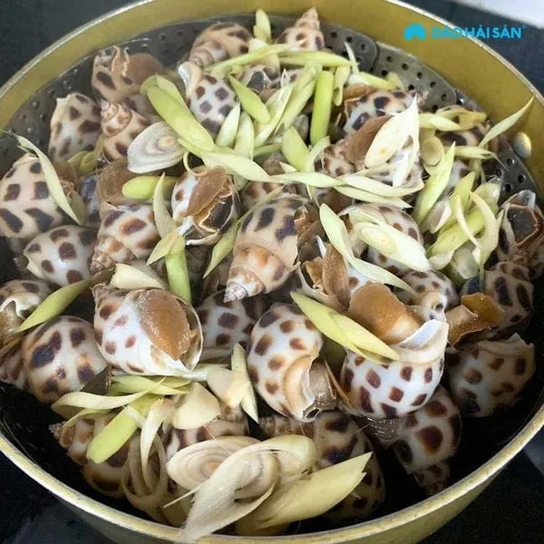 Sự kết hợp hoàn hảo giữa ốc và các loại rau củ tươi trong chế độ ăn hàng ngày giúp tối ưu sức khỏe