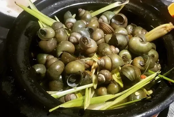 Sơ chế ốc kỹ lưỡng là bước quan trọng để giữ trọn hương vị món ăn