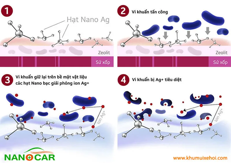 Sự kết hợp hoàn hảo giữa tia UV và Nano Bạc tạo ra hàng rào bảo vệ kép