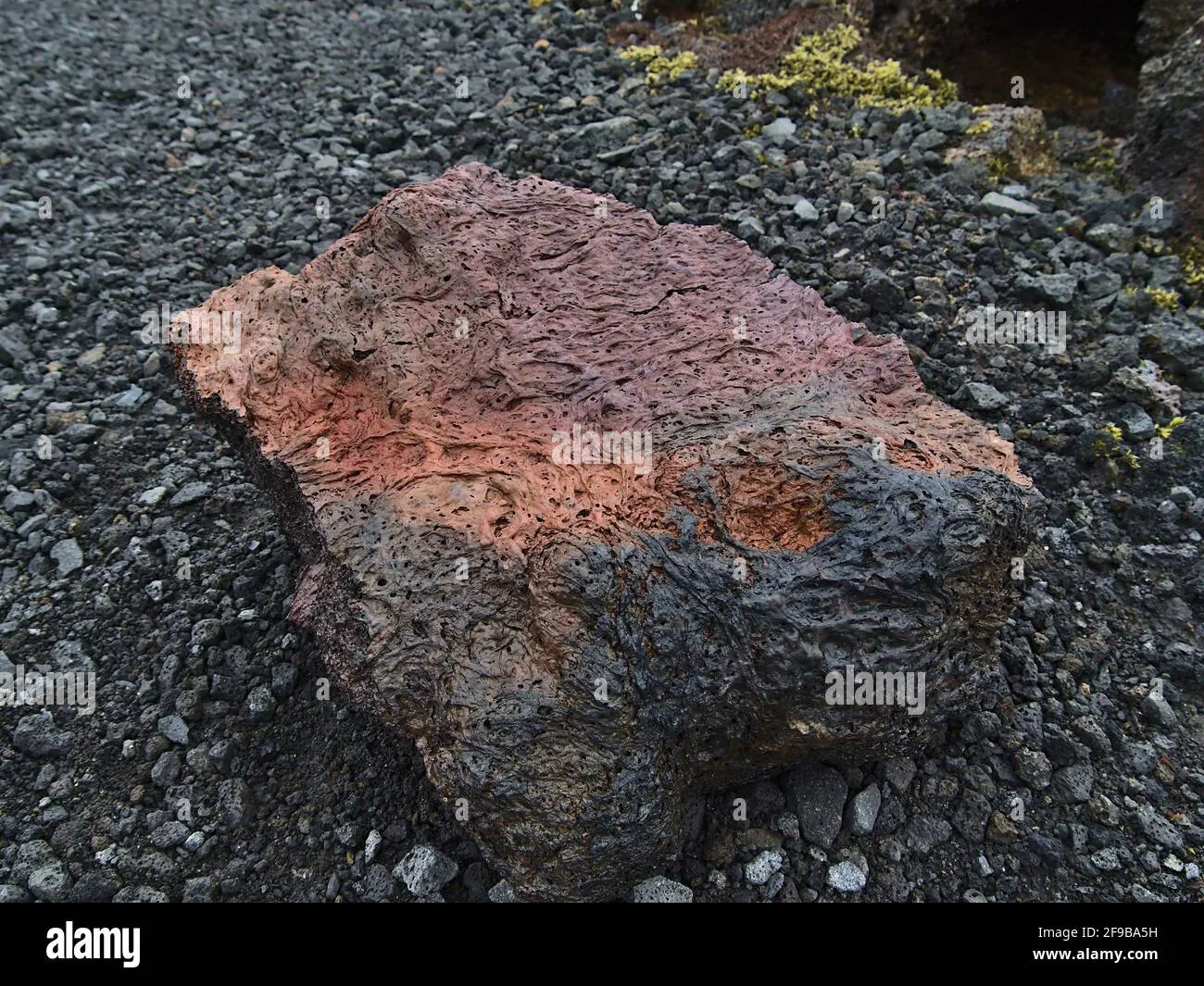 Cấu trúc rỗng xốp đặc trưng của đá núi lửa Lava Flow nhìn ở cự ly gần
