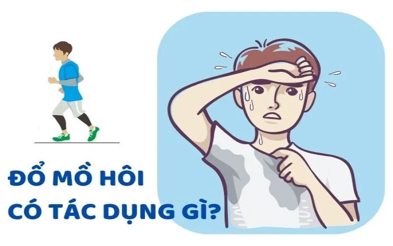 Độ ẩm cao ngăn cản quá trình bay hơi mồ hôi khiến cơ thể luôn trong trạng thái nóng bức