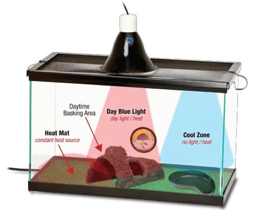 environment-guides-info-page Sự kết hợp giữa thảm nhiệt và đèn sưởi giúp duy trì nhiệt độ ổn định cho Terrarium trong suốt mùa đông