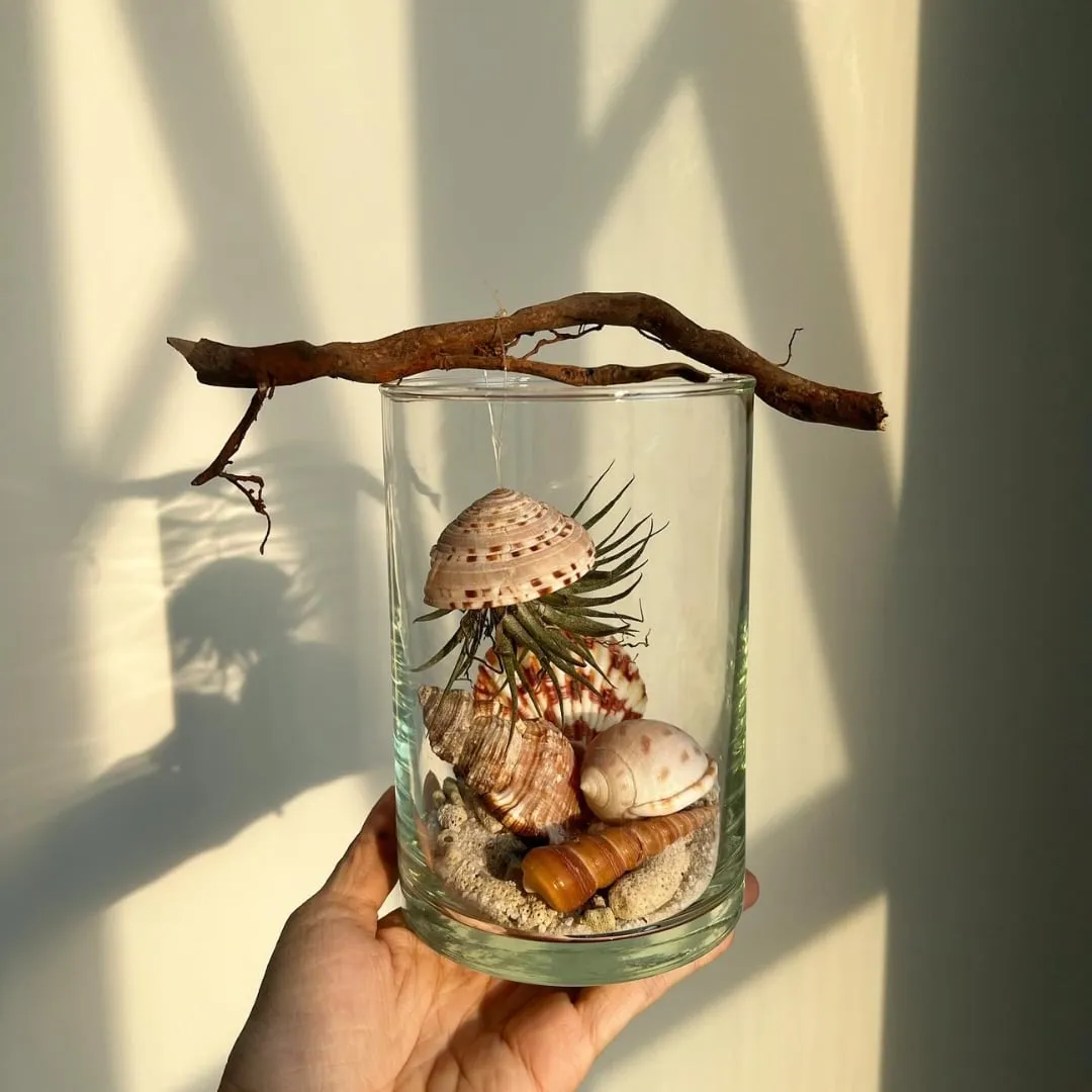 Sự kết hợp tinh tế giữa các loại vỏ ốc tự nhiên và lớp cát xanh mướt tạo nên chiều sâu cho tác phẩm