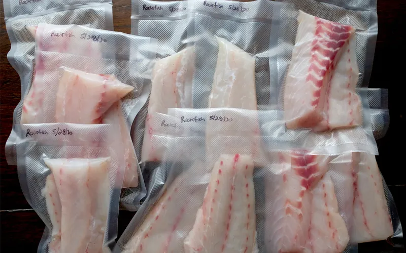 Bảo quản chân không và cấp đông đúng cách là chìa khóa để giữ trọn hàm lượng protein