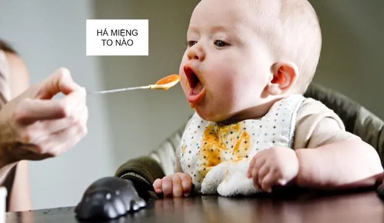 Sản phẩm phù hợp cho trẻ từ 6 tháng tuổi trở lên bắt đầu hành trình ăn dặm