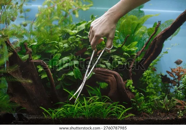 Học sinh tỉ mỉ thực hiện các bước trồng cây thủy sinh trong buổi workshop