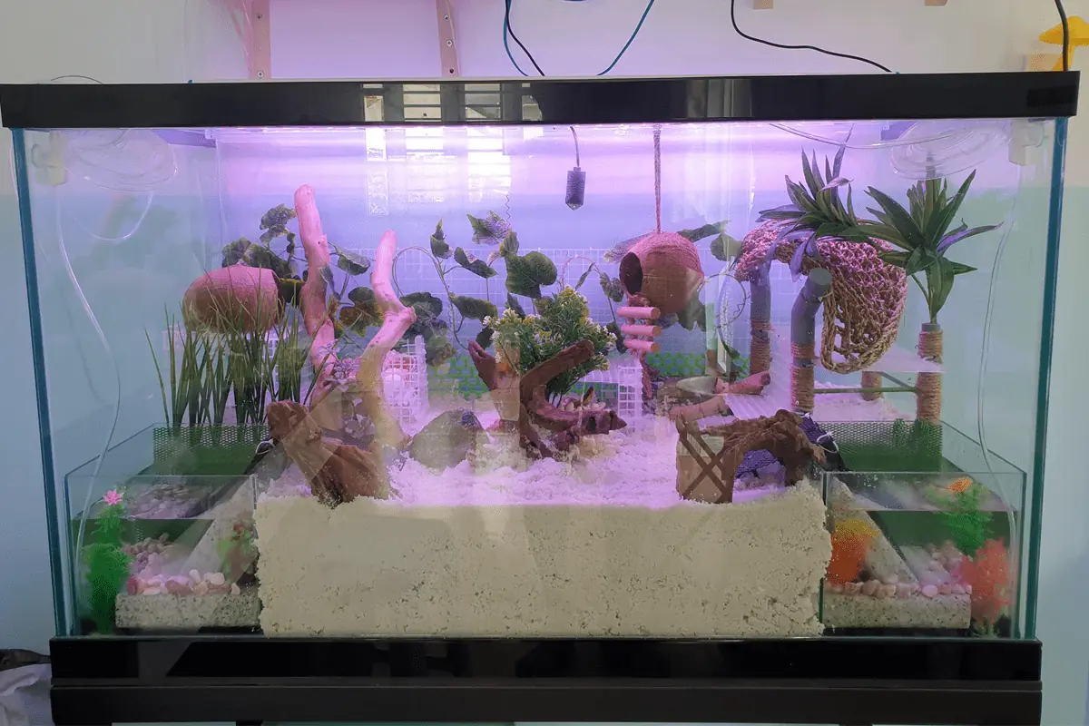 Sắp xếp cửa hàng vỏ khoa học giúp kích thích ốc mượn hồn thay đổi nhà mới