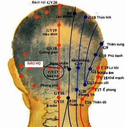 Massage đúng cách giúp kích thích tuần hoàn máu não tối ưu