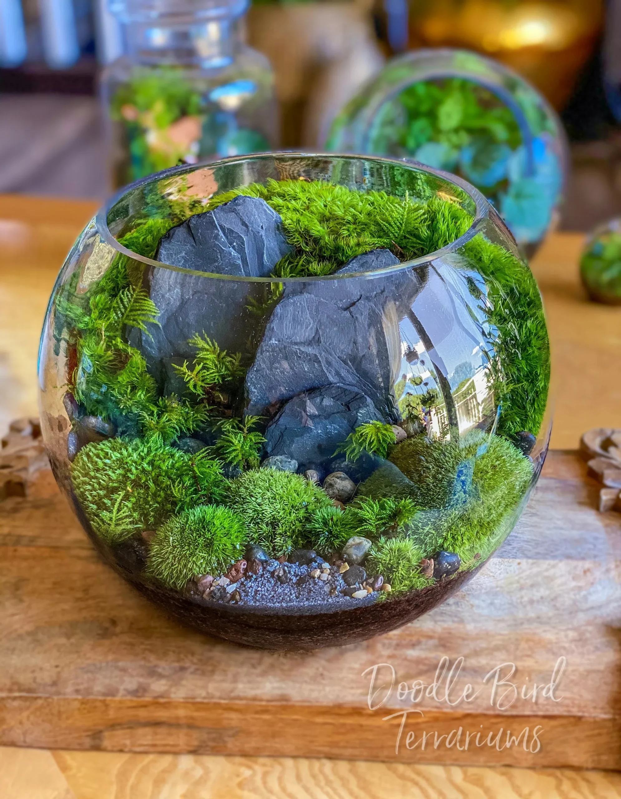 Sự kết hợp tinh tế giữa hệ sinh thái Terrarium và cảm hứng âm nhạc cổ điển