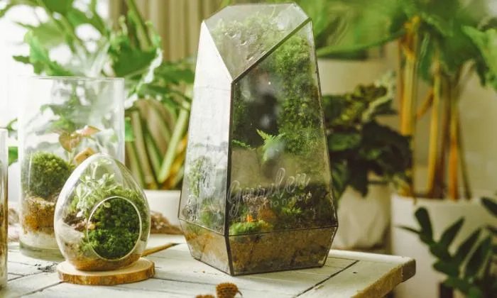 Bảo quản và vệ sinh đúng cách giúp tác phẩm luôn giữ được độ trong suốt và bền màu