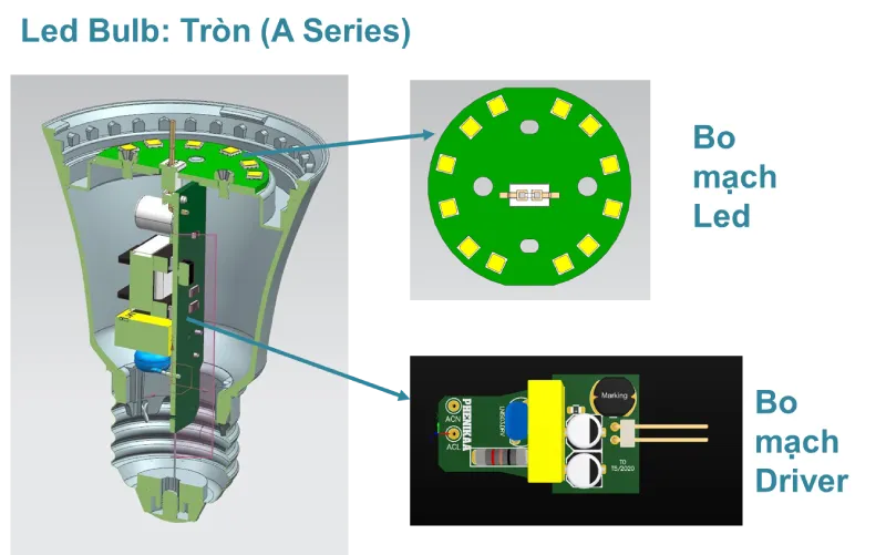 Sự kết hợp tinh tế giữa cấu trúc canxi tự nhiên và công nghệ LED hiện đại