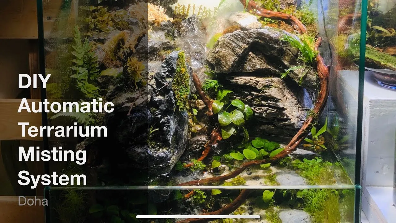 Hệ thống phun sương giúp duy trì độ ẩm lý tưởng cho cả cây và ốc